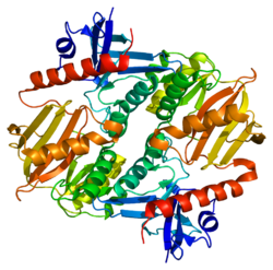 250px-protein_syn2_pdb_1i7l