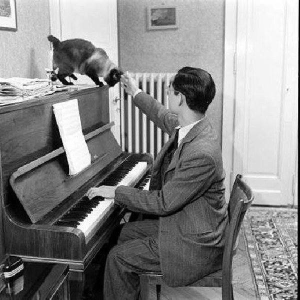 king-rama-ix-with-piano-and-cat
