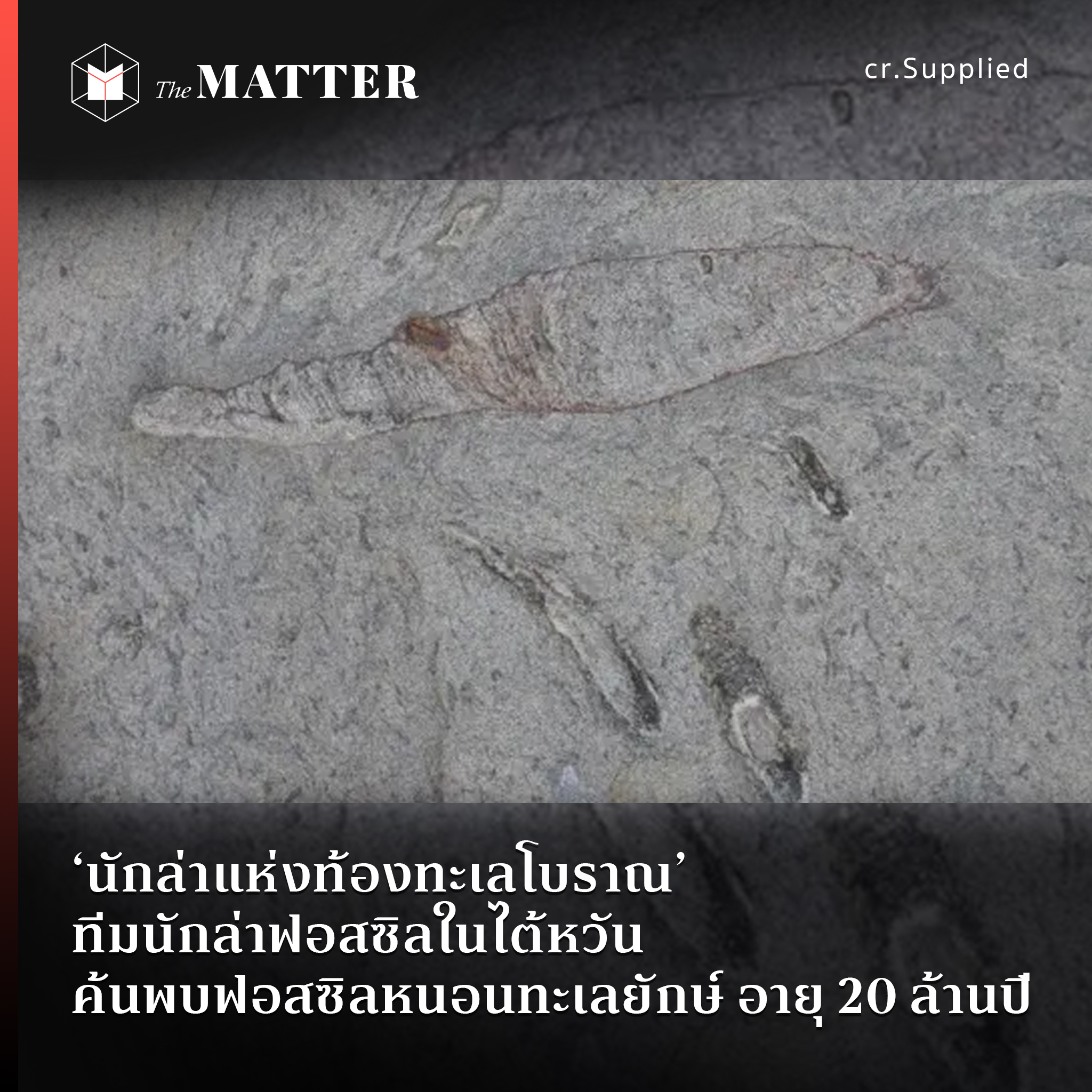 My Image 31