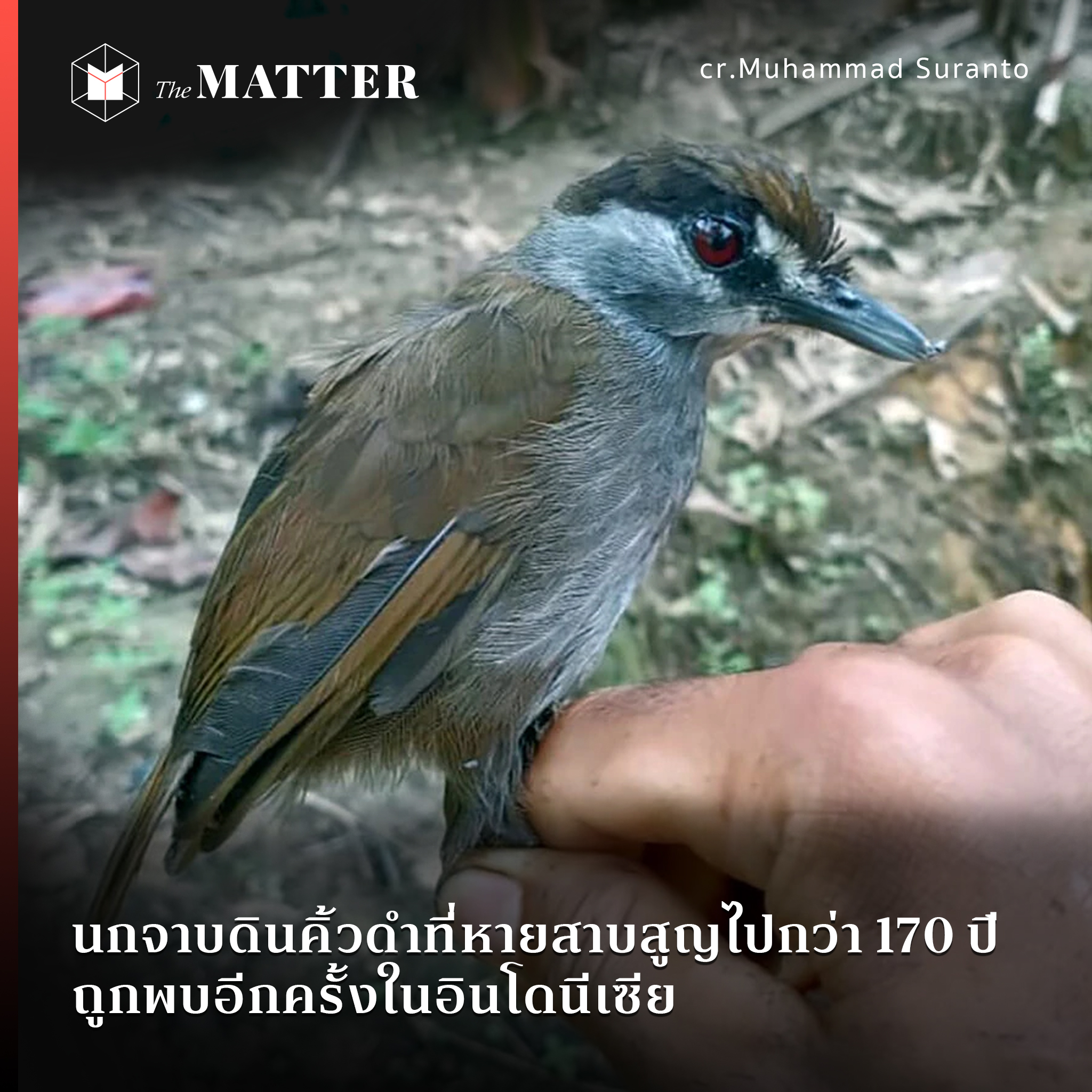 My Image 30