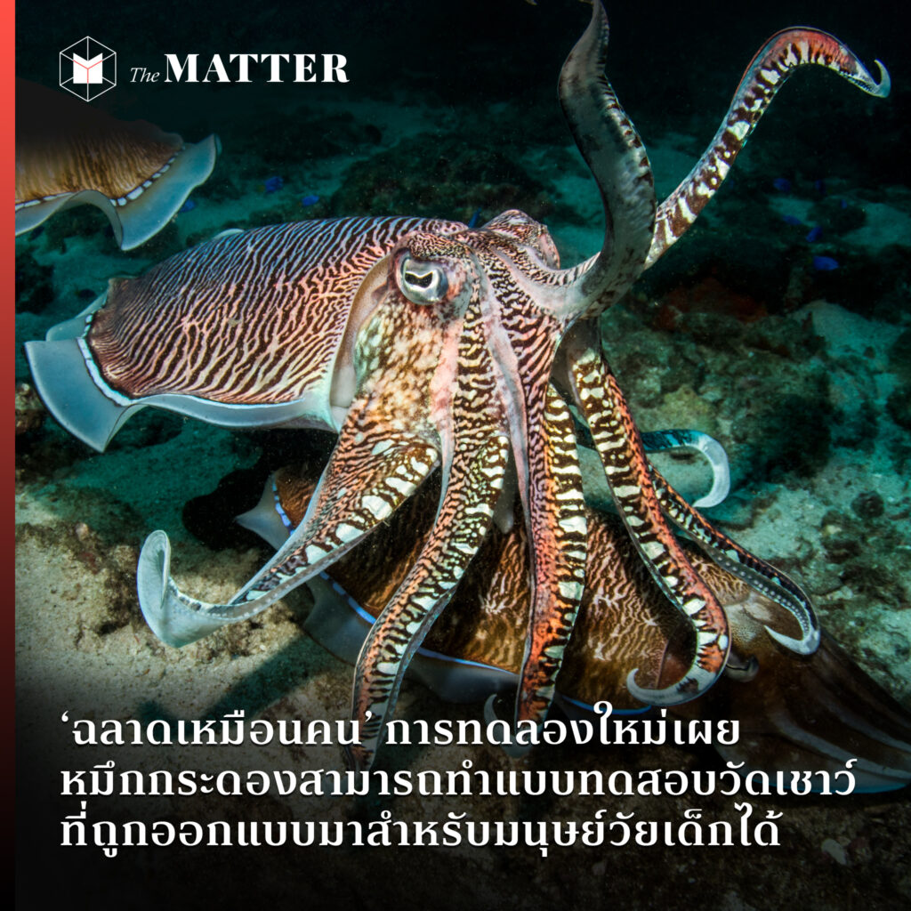 My Image 26