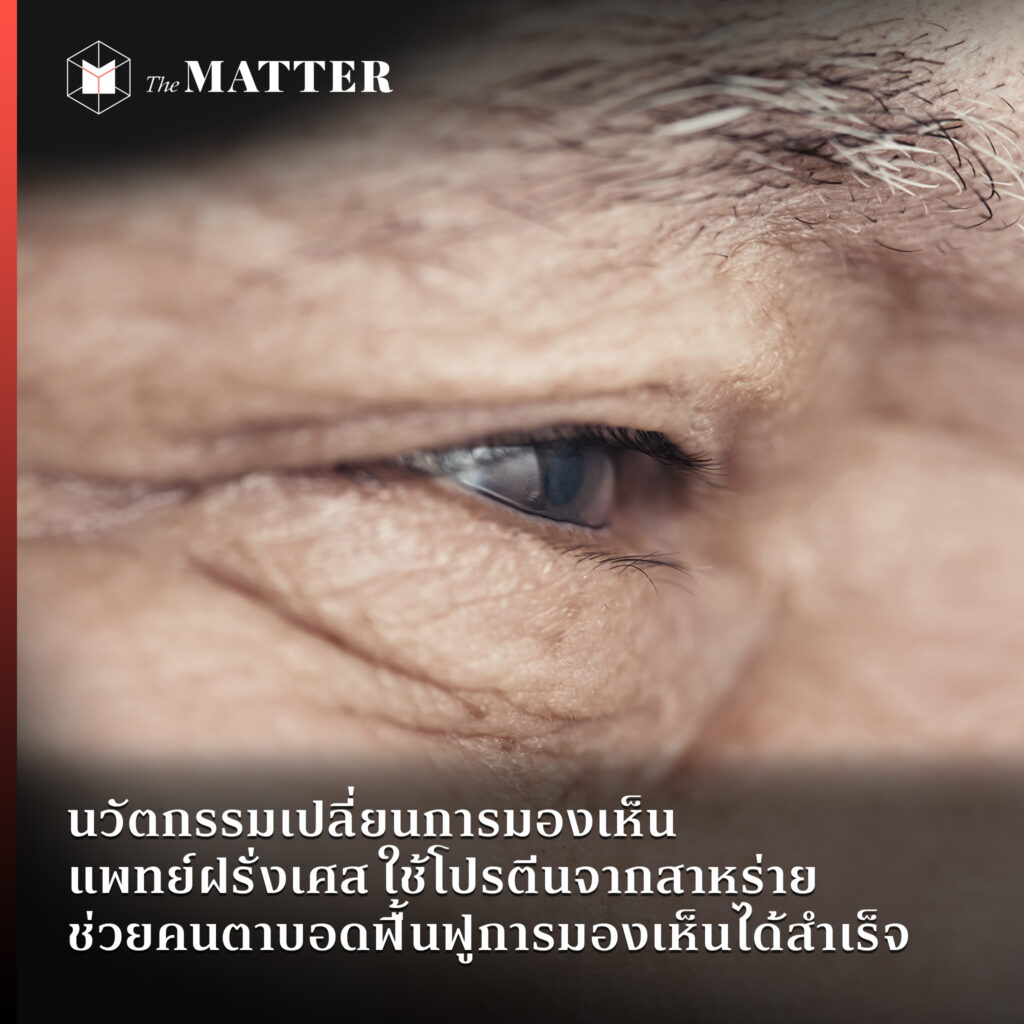 My Image 24