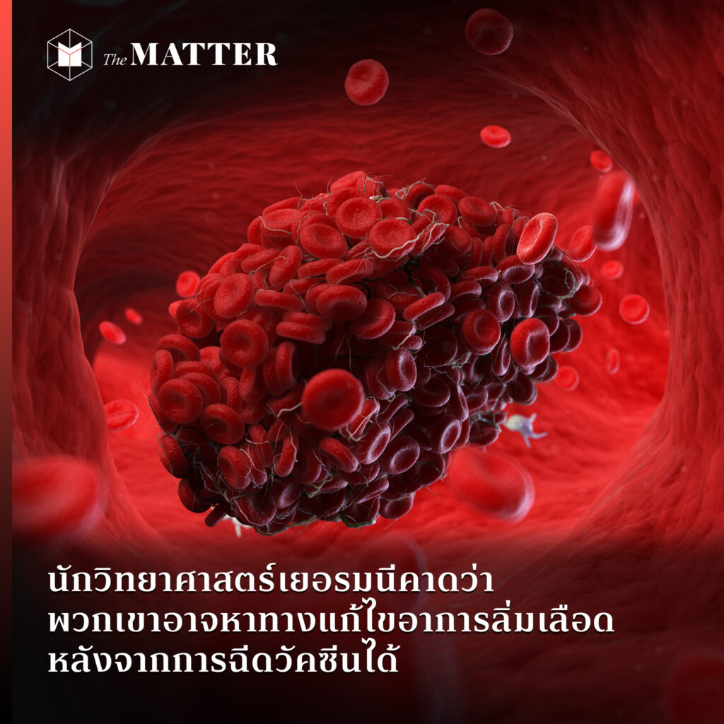 My Image 13