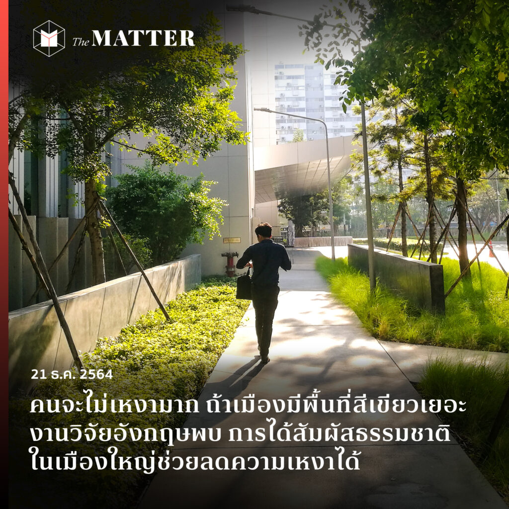 My Image 13